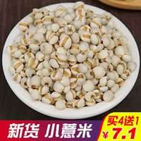 Symnoma xiaobi Seed Mi 500g, принимая 4 раунда из 5 фунтов герпжоу Синьрен фермерского дома Кола Райс Красная Бобона Симфония Разное зерно