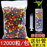 12 цветов, смешанных с 12 000 штук для короля королей