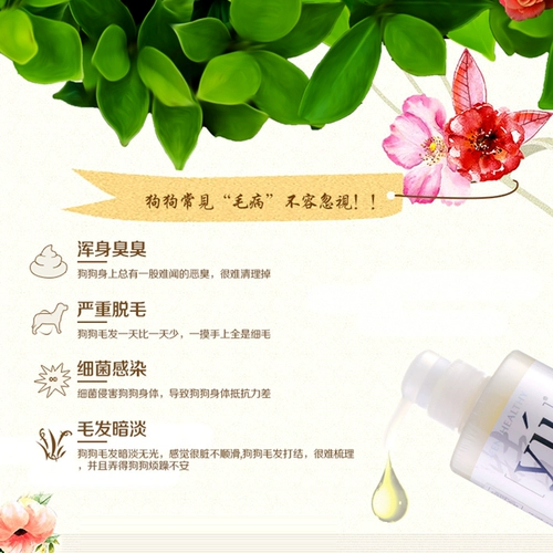 Тайвань ю -восточный Cao Cao Xingyao Velvet Milk Milk Milk Precurring Electric Electric Sost (мытье) Уход за собаками