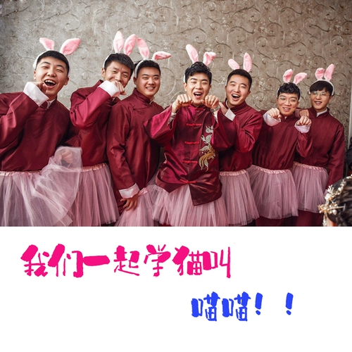 Brother, игровой реквизит, лебедь, кролик, аксессуар для волос