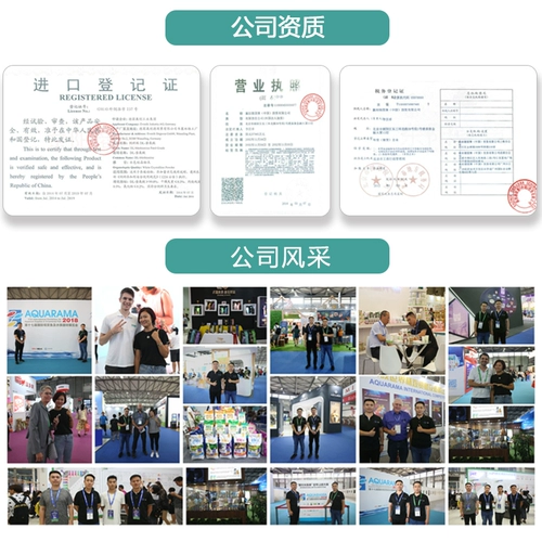 Порош-порошок для яиц с яйцом, собака, яичная порошка кошачья яйцо, яйцо, животное птица, 500 г зверя 695650-81E3