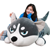 Erha sang trọng đồ chơi con chó gối husky mô phỏng búp bê lớn dễ thương hai món quà búp bê haha - Đồ chơi mềm thú nhồi bông Đồ chơi mềm