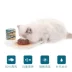 Yi Jia mèo đóng hộp 170 gam * 24 nồi mèo con 1-4 tháng cá ngừ lương thực thực phẩm vào mèo và mèo đồ ăn nhẹ thực phẩm ướt