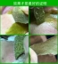 Việt Nam để mụn đầu đen mụn mặt nạ nhập khẩu chính hãng trà xanh mặt nạ bột sâu làm sạch lỗ chân lông rách nam giới và phụ nữ các loại mặt nạ dưỡng da tốt Mặt nạ