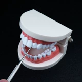 304 Стоматологическая зубная стоматолога из нержавеющей стали Dental Dental Set Seat Tool Clear Care Portable Portable