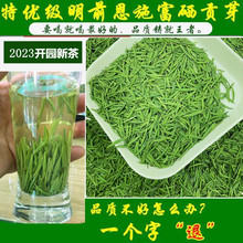 2023 Новый чай Trixiang Plastype ростки А класс Эншгон почки