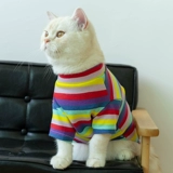 Симпатичная одежда для кошки летняя анти -фур -корень -bear -bear skunar собака