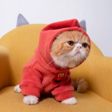 Демисезонный удерживающий тепло пуховик, милый шнурок-держатель, толстовка, популярно в интернете, осенний сезон