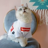 Tide, летний тонкий шнурок-держатель, футболка, популярно в интернете