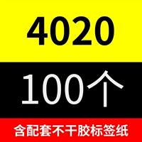 4020 (100 установка)