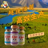 Посадка посадки водных эм бактерий Оригинальная самопроизвольная эм -бактерия