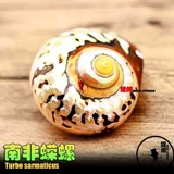 Натуральная раковина раковина дом замены крабов декоративная рыбака