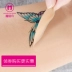 Nhật bản bìa tattoo vết sẹo 痣 tạo tác tạo tác da không thấm nước màu vô hình occlusion dán bền không thấm nước thoáng khí che khuyết điểm dán kem che khuyết điểm cho nam Kem che khuyết điểm
