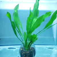 Темно коричневый