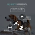 Pet Weizi chó ăn thức ăn cho chó con 5kg10 kg Jinmaosamo bên chăn nuôi chó con lớn loại chung - Chó Staples