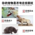 Đá tiết niệu chó và mèo giúp loại bỏ 5kg20 - Cat / Dog Medical Supplies