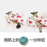 Медовый мешок 鼠 Летающие ветви цветов мыши и крысы тренировочные перчатки маленькие домашние животные разводят перчатки, чтобы предотвратить укусы и захватить перчатки.