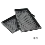 Саженцы и саженцы толстых садовников, саженцы для арбузы