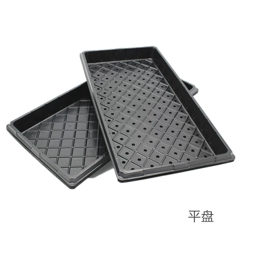 Саженцы и саженцы толстых садовников, саженцы для арбузы