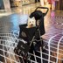 Bốn bánh vật nuôi xe dog stroller pet xe đẩy em mèo và con chó nhu yếu phẩm hàng ngày có thể gập lại xe đẩy em chó 	dụng cụ và thức ăn cho chó Cat / Dog hàng ngày Neccessities