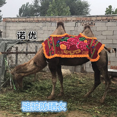 седло 出售骆驼鞍子防晒衣 漂亮防晒衣 骆驼鞍子防晒衣