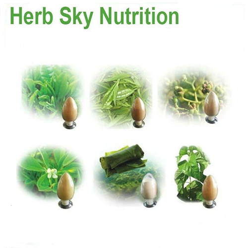 500G Pure Natural Black Extract Черный кунжут концентрированный порошок 10: 1