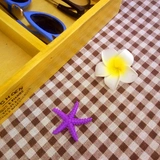 Очки, ретро коробка для хранения, стенд