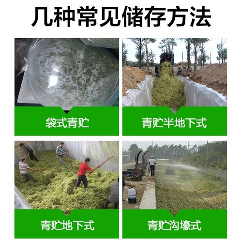 Silantopsence Желтая хранение кукурузной солома ферментированная листь