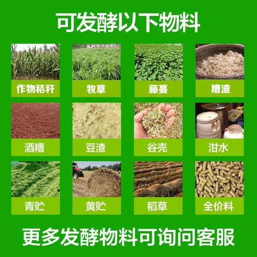 Silantopsence Желтая хранение кукурузной солома ферментированная листь