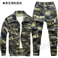 618 Желтый набор цветов [Летняя тонкая модель]