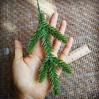 5 пальцев сосна