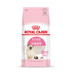 Thức ăn cho mèo cưng Royal Royal K36 mang thai cho con bú mẹ thức ăn cho mèo 2kg cộng với thức ăn ngắn - Cat Staples thức ăn cho mèo royal canin Cat Staples