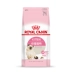 Thức ăn cho mèo cưng Royal Royal K36 mang thai cho con bú mẹ thức ăn cho mèo 2kg cộng với thức ăn ngắn - Cat Staples