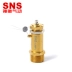 SNS Shenchi Công cụ khí nén Van an toàn Van giảm áp tác động trực tiếp Full Copper BV-01 02 03 04 - Công cụ điện khí nén