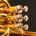 Nhạc cụ châu Âu đích thực Phím ba vị trí nâng cao trên âm trầm nhỏ B-paint sơn mài vàng loại ZEU-2500 - Nhạc cụ phương Tây