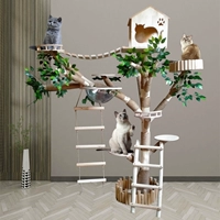 Устойчивая к сплошной древесине кошачья кошка, ненормативные волосы, оригинальный сухой сухой сухой дерево, крупная кошачья сеть