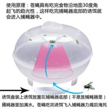 Flip Cage Flying Device управляет летающим артефактом, чтобы схватить мухи, чтобы удалить мухи