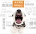 Chung thức ăn cho chó số lượng lớn 10 kg 5kg Jin Mao Samoyed Husky phổ con chó lớn vật nuôi chính hạt thức ăn