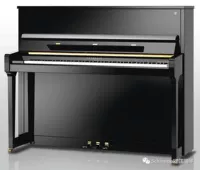 Đàn piano Schulmel của Đức Đàn piano Schimmel F-121 F-123 Forridlin khuyến mãi đặc biệt - dương cầm casio celviano