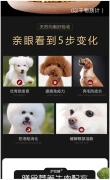 Thức ăn cho chó Shiba Inu Chó Akita Inu Thức ăn tự nhiên Chó vừa và nhỏ Chó Thức ăn cho chó Vườn Trung Quốc Thức ăn cho chó Dinh dưỡng Làm đẹp Tóc - Gói Singular