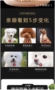 Thức ăn cho chó Shiba Inu Chó Akita Inu Thức ăn tự nhiên Chó vừa và nhỏ Chó Thức ăn cho chó Vườn Trung Quốc Thức ăn cho chó Dinh dưỡng Làm đẹp Tóc - Gói Singular thức an cho chó con