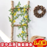 Моделирование ромашка маленькие виноградные лозы роза Роза Фахла цветочная виноградная лоза.