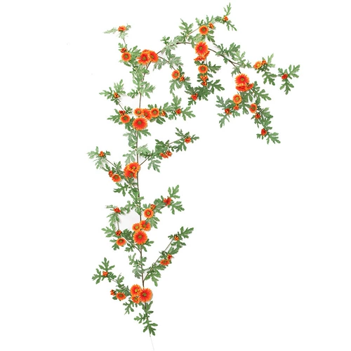 Моделирование ромашка маленькие виноградные лозы роза Роза Фахла цветочная виноградная лоза.