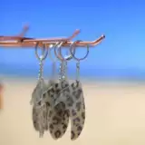 Кольцевые волны без окружающей окружающей памяти хвостовой плавник