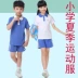 Quảng châu Phiên Ngung District trường tiểu học nam giới và phụ nữ đồng phục học sinh quần mùa hè ngắn tay dài tay T-Shirt polo phù hợp với bông có thể được tùy chỉnh