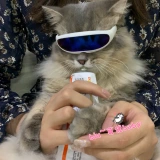 Космические солнцезащитные очки, кукла, аксессуар, домашний питомец, кошки и собаки