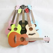 Màu sắc 23 inch ukulele ukulele sinh viên mới bắt đầu uklele nhạc cụ guitar bốn dây nhỏ - Nhạc cụ phương Tây