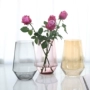 Bình thủy tinh đơn giản châu Âu dày trang trí nhà hoa hoa sáng tạo thiết bị mềm tươi và hiện đại - Vase / Bồn hoa & Kệ mẫu chậu cây cảnh đẹp