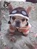 DOGO Metropolitan Dog Pilot Cap Mở Ear Dog Dog Hat Pet Quần áo Phụ kiện VIP Cap Mới 2 Ha Size - Quần áo & phụ kiện thú cưng quần áo cho chó mèo giá rẻ Quần áo & phụ kiện thú cưng