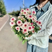 Ретро упаковка 10 Мартис Отправить Фрейсс в холодной цепи